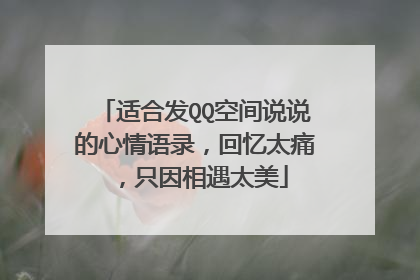 适合发QQ空间说说的心情语录,回忆太痛,只因相遇太美