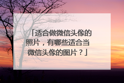 适合做微信头像的照片，有哪些适合当微信头像的图片？