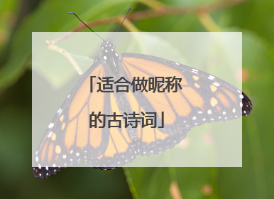 适合做昵称的古诗词