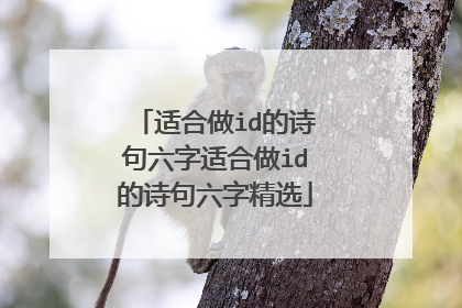 适合做id的诗句六字适合做id的诗句六字精选