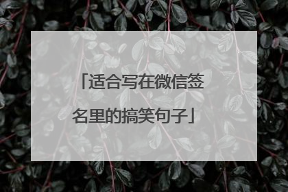 适合写在微信签名里的搞笑句子