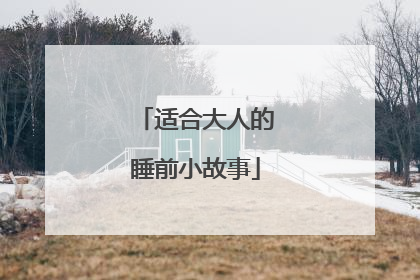 适合大人的睡前小故事