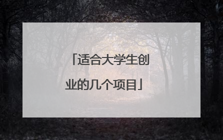 适合大学生创业的几个项目