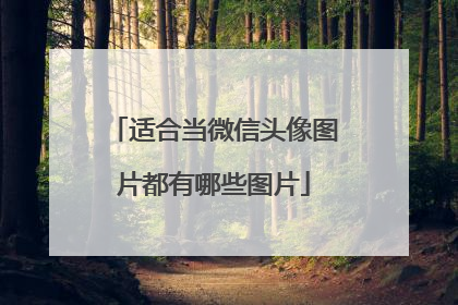 适合当微信头像图片都有哪些图片