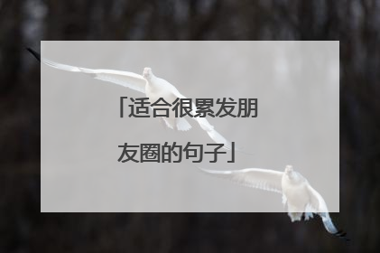 适合很累发朋友圈的句子