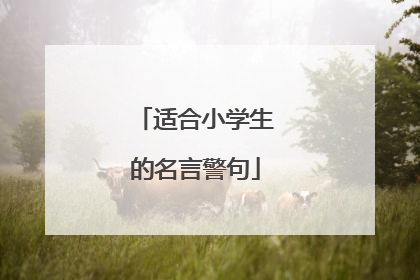 适合小学生的名言警句