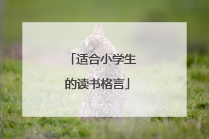 适合小学生的读书格言