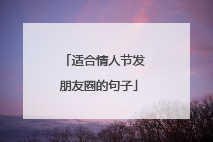 适合情人节发朋友圈的句子