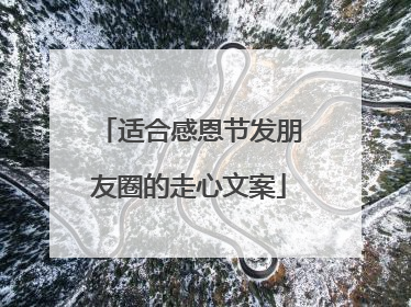 适合感恩节发朋友圈的走心文案