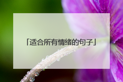 适合所有情绪的句子