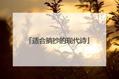 适合摘抄的现代诗