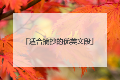 适合摘抄的优美文段
