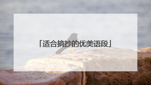 适合摘抄的优美语段