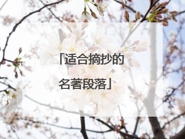 适合摘抄的名著段落