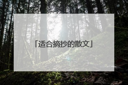 适合摘抄的散文