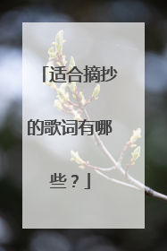 适合摘抄的歌词有哪些？