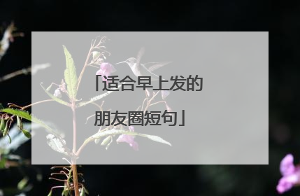 适合早上发的朋友圈短句