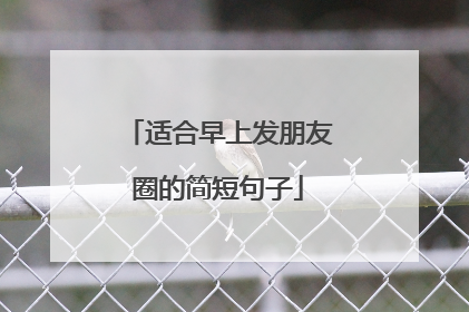 适合早上发朋友圈的简短句子