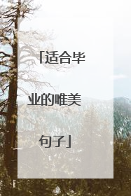 适合毕业的唯美句子