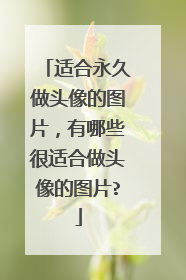 适合永久做头像的图片,有哪些很适合做头像的图片?