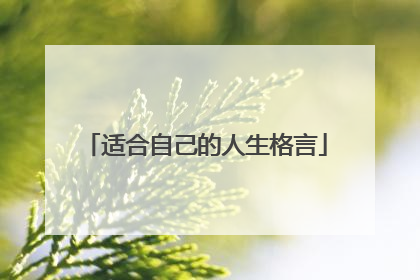 适合自己的人生格言