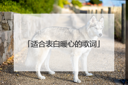 适合表白暖心的歌词