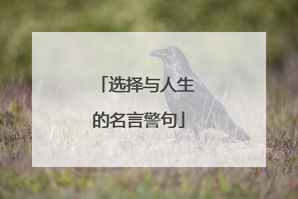 选择与人生的名言警句