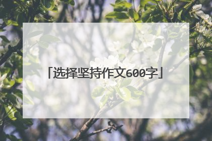 选择坚持作文600字