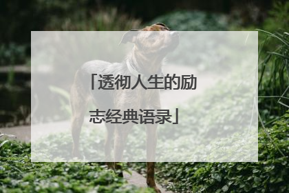 透彻人生的励志经典语录