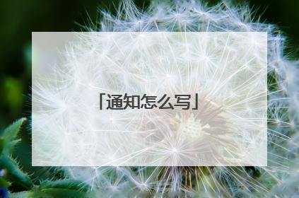 通知怎么写