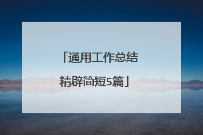通用工作总结精辟简短5篇