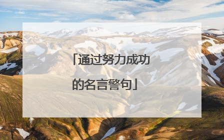 通过努力成功的名言警句