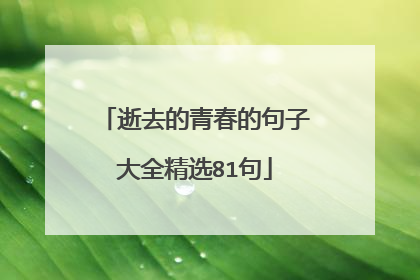 逝去的青春的句子大全精选81句