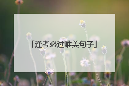 逢考必过唯美句子