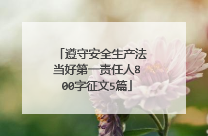 遵守安全生产法当好第一责任人800字征文5篇