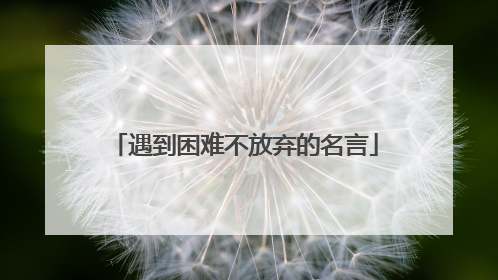 遇到困难不放弃的名言