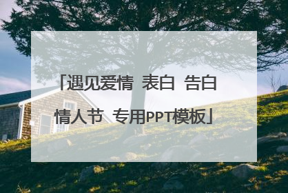遇见爱情 表白 告白 情人节 专用PPT模板