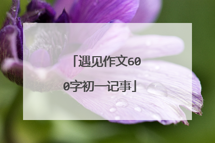 遇见作文600字初一记事