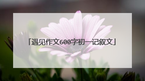 遇见作文600字初一记叙文