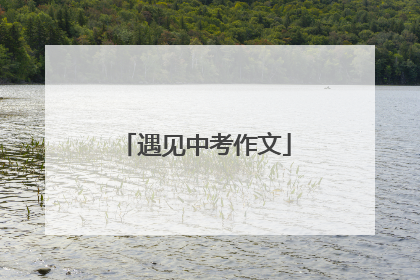 遇见中考作文