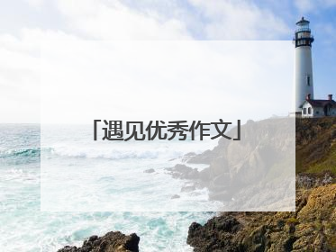 遇见优秀作文