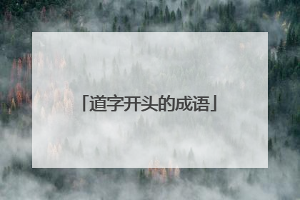 道字开头的成语