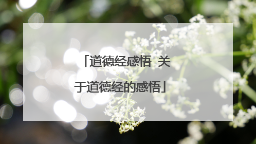 道德经感悟 关于道德经的感悟