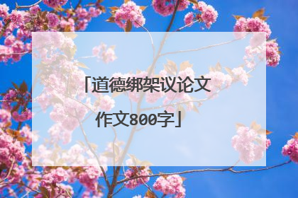 道德绑架议论文作文800字
