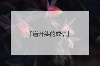 道开头的成语