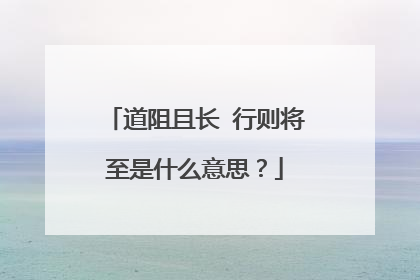 道阻且长 行则将至是什么意思?