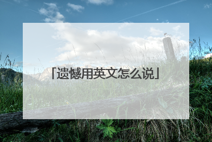 遗憾用英文怎么说