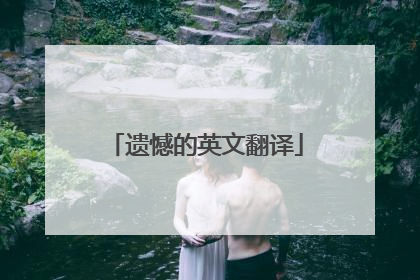 遗憾的英文翻译
