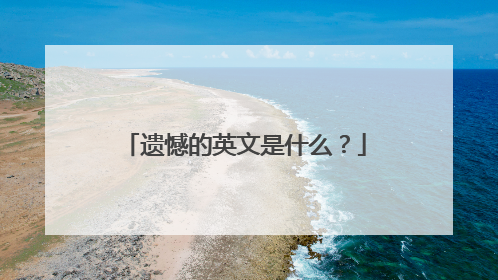 遗憾的英文是什么？