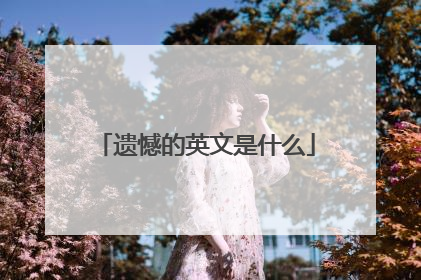 遗憾的英文是什么